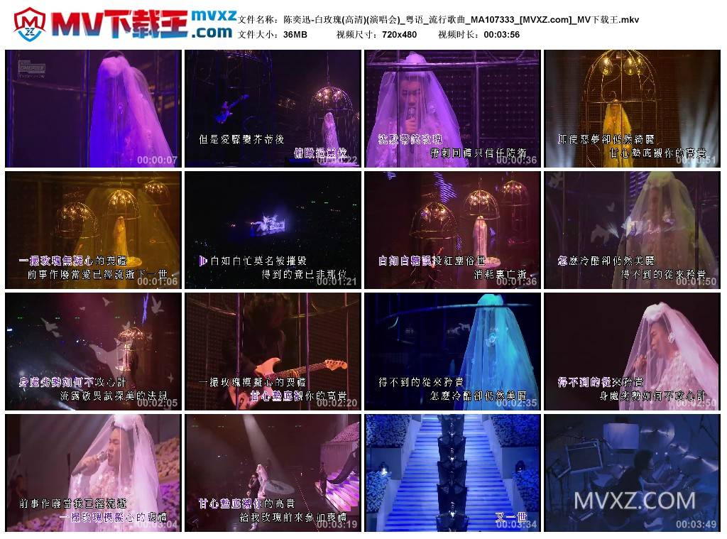 陈奕迅-白玫瑰(高清)(演唱会)_粤语_流行歌曲_MA107333